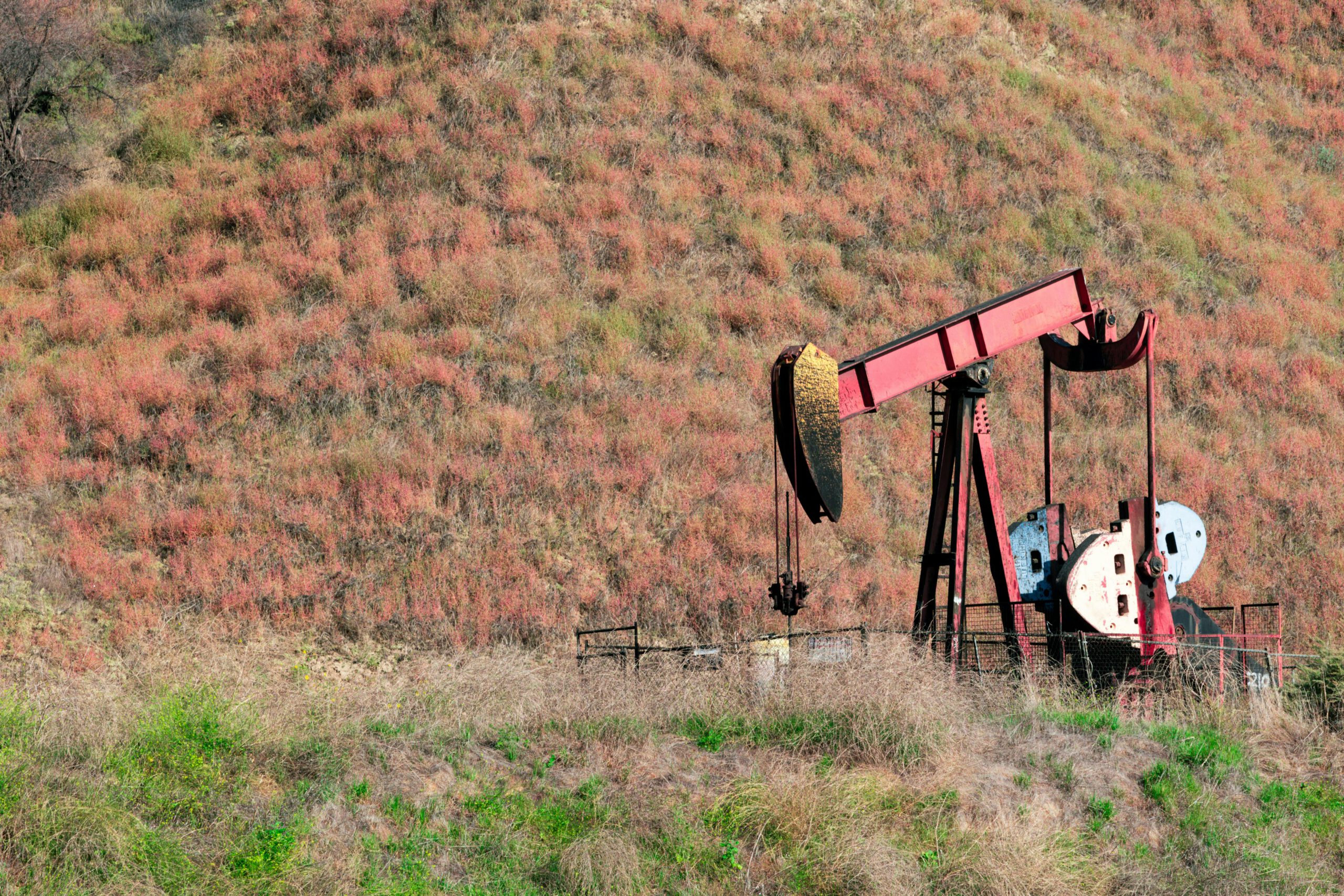 Industrial oil pumpjack in a rural field with colorful vegetation.